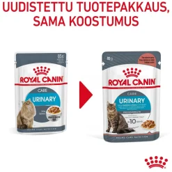 Royal Canin Urinary Care Gravy 12x85g
