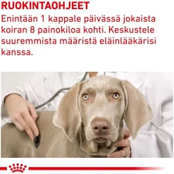 Royal Canin Veterinary Diets Dog Pill Assist M/L 225g