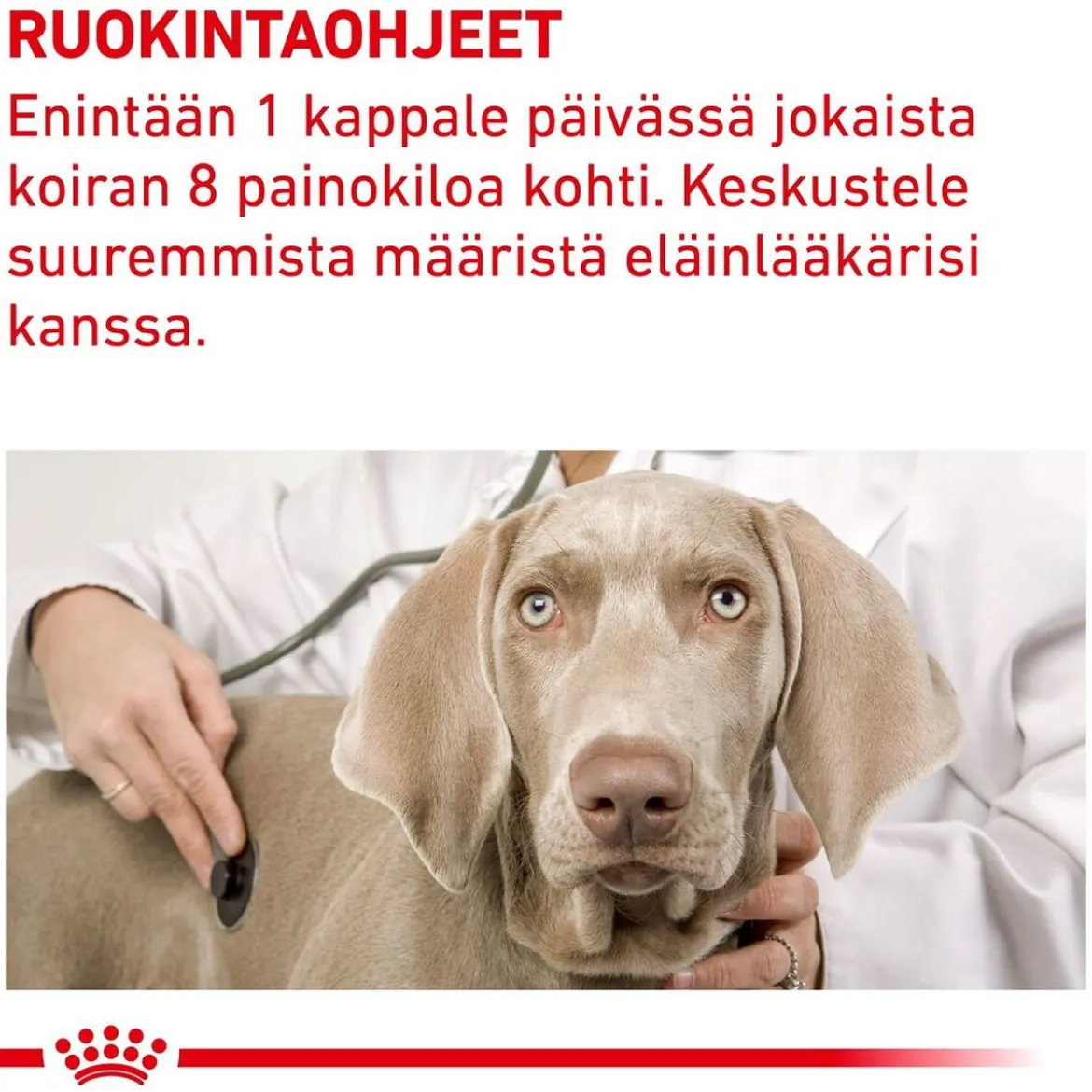 Royal Canin Veterinary Diets Dog Pill Assist M/L 225g