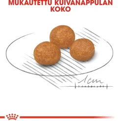 Royal Canin X-Small Adult