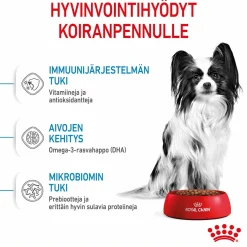 Royal Canin X-Small Puppy