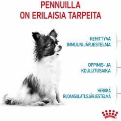 Royal Canin X-Small Puppy