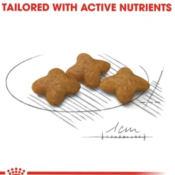 Royal Canin X-Small Sterilised 1,5 kg