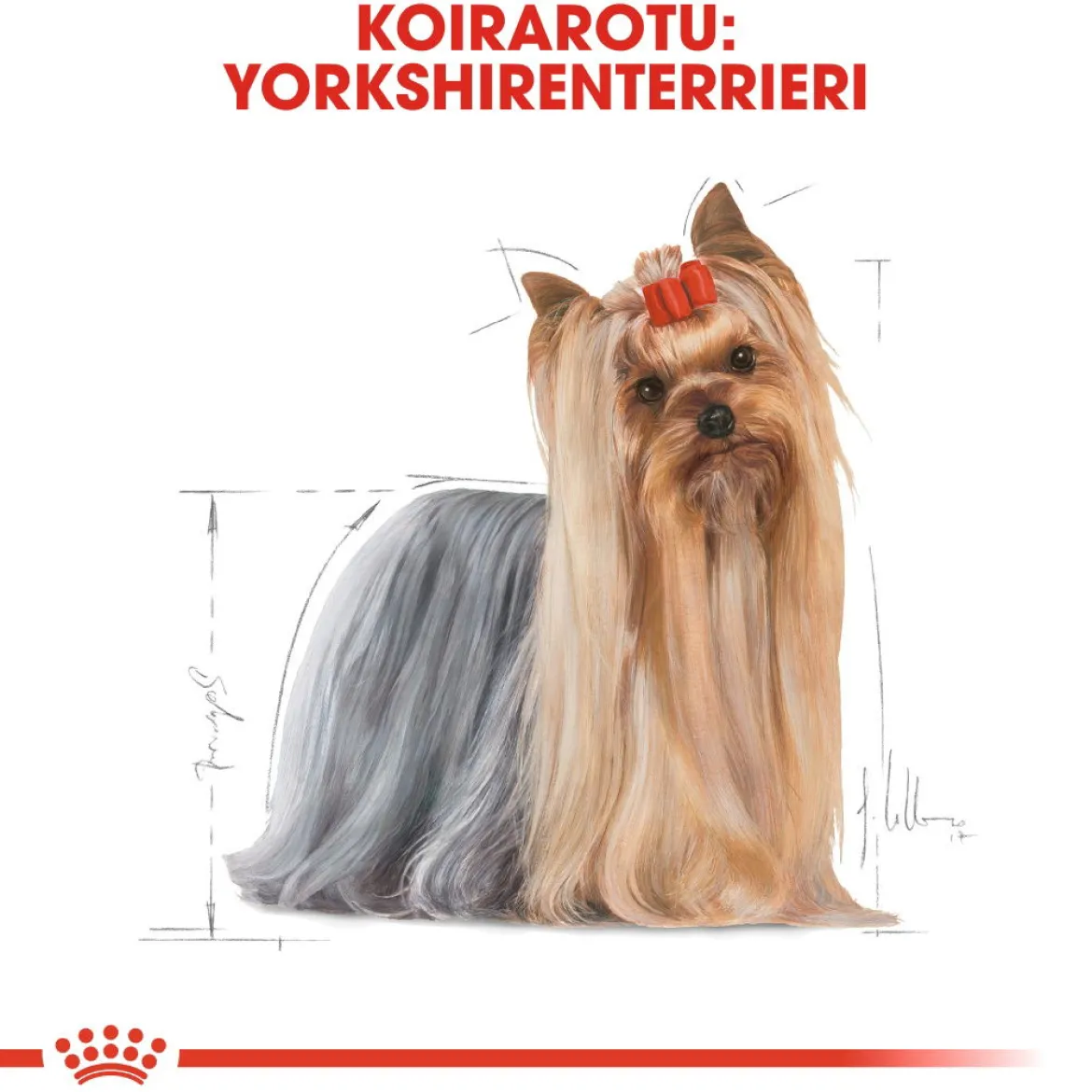 Royal Canin Yorkshire Terrier Adult