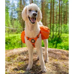 Ruffwear Approach Pack reppu koiralle, oranssi