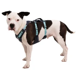 Ruffwear Flagline valjaat, harmaa