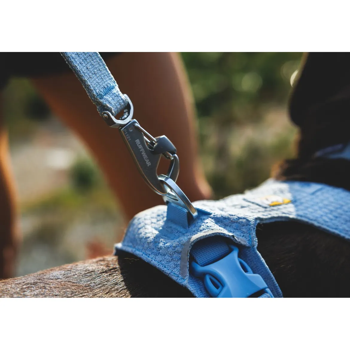 Ruffwear Front Range Flex hihna