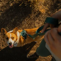 Ruffwear Front Range Flex hihna