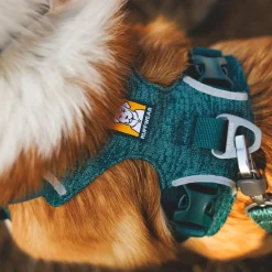 Ruffwear Front Range Flex koiranvaljaat, Deep Teal