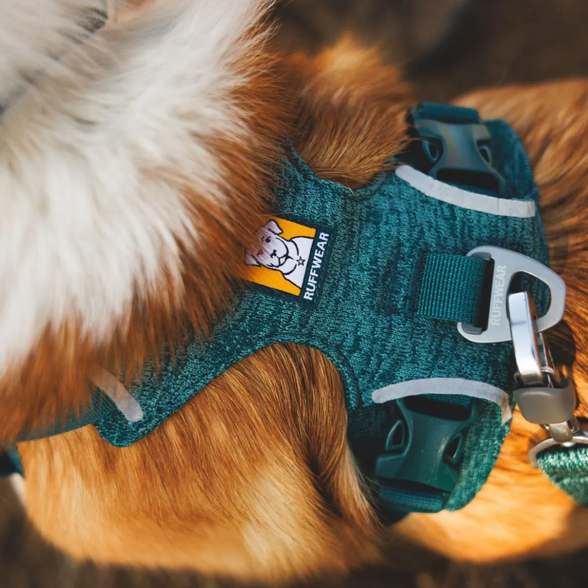 Ruffwear Front Range Flex koiranvaljaat, Deep Teal