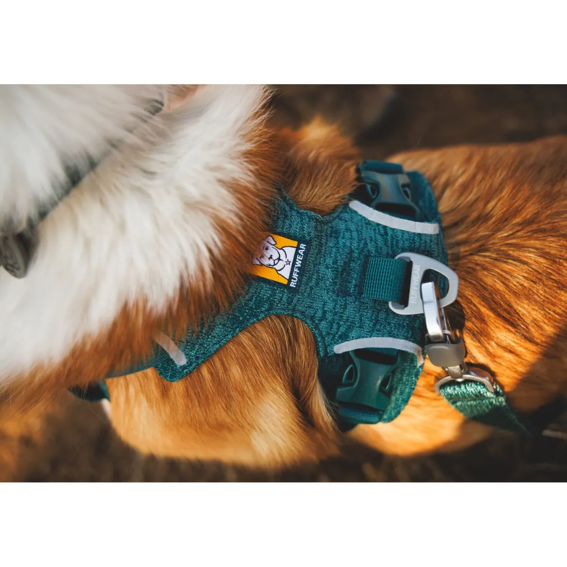 Ruffwear Front Range Flex koiranvaljaat, Deep Teal