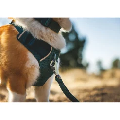 Ruffwear Front Range Flex koiranvaljaat, Deep Teal