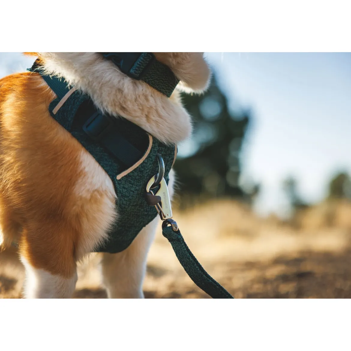 Ruffwear Front Range Flex koiranvaljaat, Deep Teal