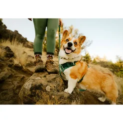 Ruffwear Front Range Flex koiranvaljaat, Deep Teal