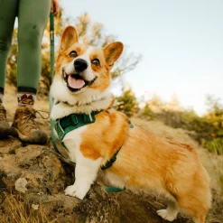 Ruffwear Front Range Flex koiranvaljaat, Deep Teal