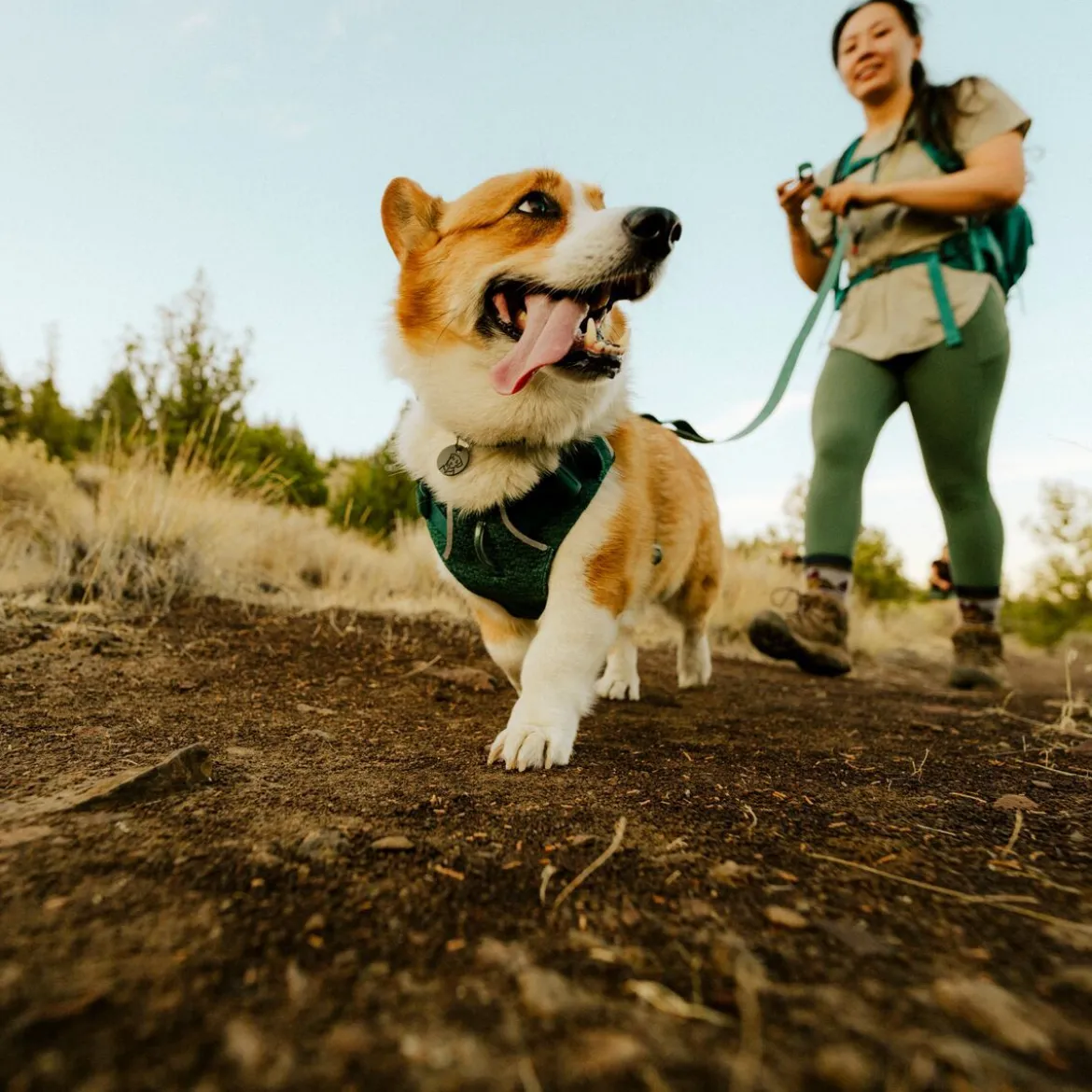 Ruffwear Front Range Flex koiranvaljaat, Deep Teal