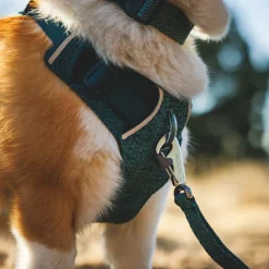 Ruffwear Front Range Flex koiranvaljaat, Deep Teal