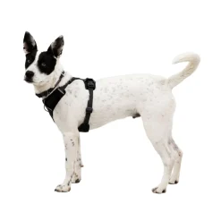 Ruffwear Front Range Flex valjas, Basalt Gray