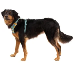 Ruffwear Front Range koiranvaljaat, Spring Mountains