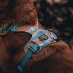 Ruffwear Front Range koiranvaljaat, Spring Mountains