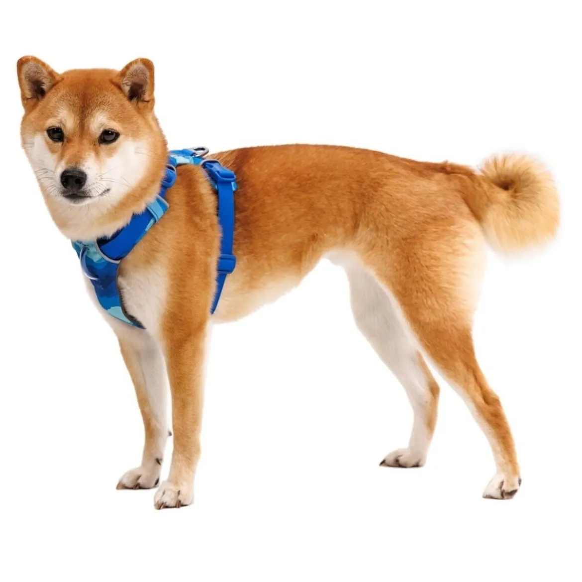 Ruffwear Front Range valjaat, Coastal Mountains