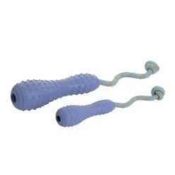 Ruffwear Gourdo -koiran heittolelu, violetti
