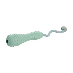 Ruffwear Gourdo koiranlelu, salvia