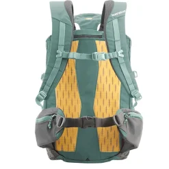 Ruffwear Hitch Hiker kantoreppu koiralle, vihreä