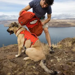 Ruffwear koiran reppu Palisades Pack, punainen