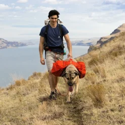 Ruffwear koiran reppu Palisades Pack, punainen