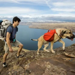 Ruffwear koiran reppu Palisades Pack, punainen