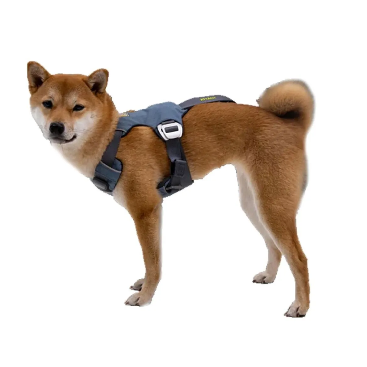 Ruffwear Load Up valjas Slate Blue