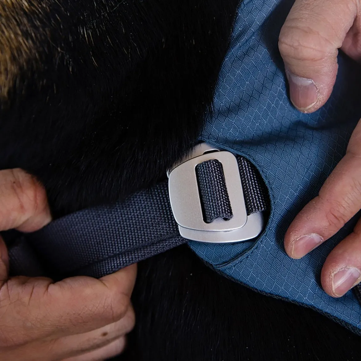Ruffwear Load Up valjas Slate Blue