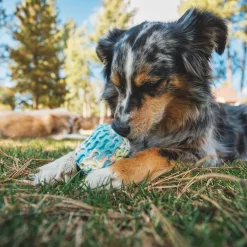 Ruffwear Morel™