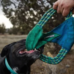 Ruffwear Pacific Ring koiranlelu, turkoosi