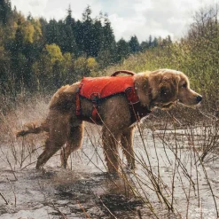 Ruffwear Pelastusliivi Confluence, Tangelo Orange
