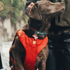 Ruffwear Pelastusliivi Confluence, Tangelo Orange