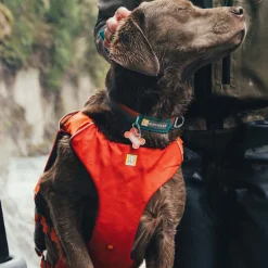 Ruffwear Pelastusliivi Confluence, Tangelo Orange