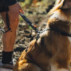 Ruffwear Ridgeline talutin