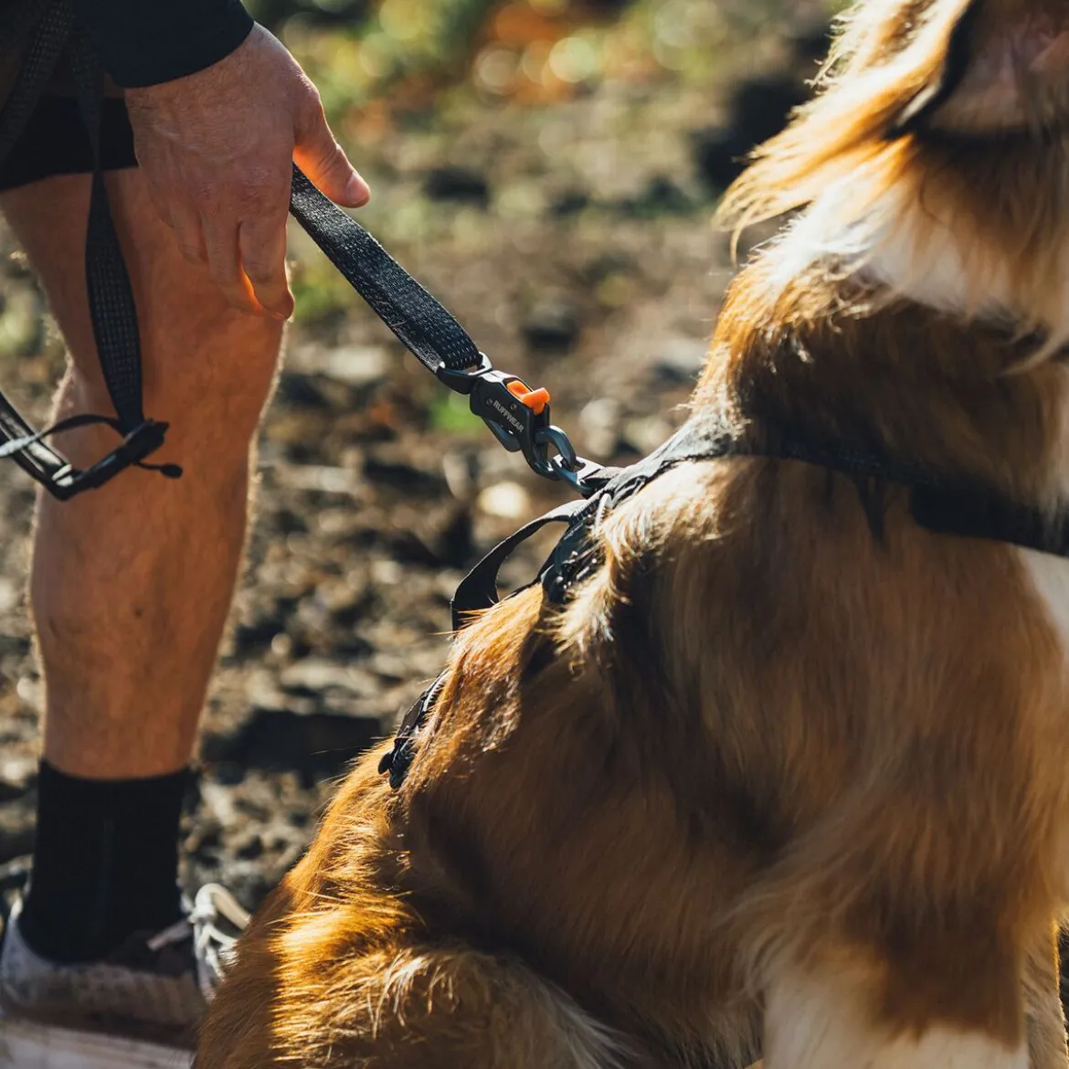 Ruffwear Ridgeline talutin