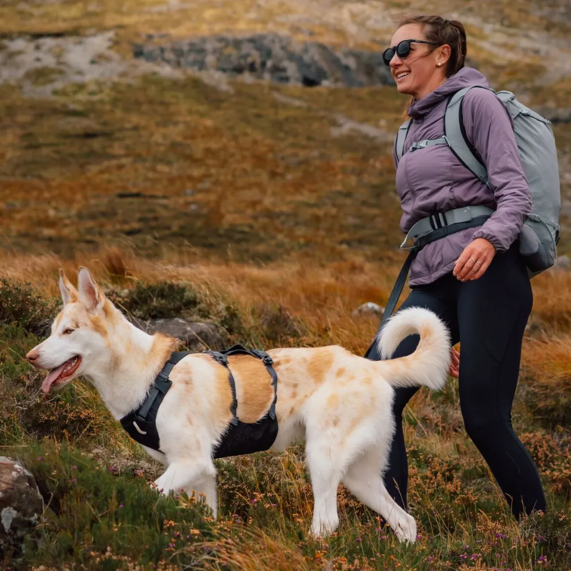 Ruffwear Ridgeline talutin