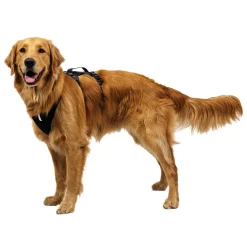Ruffwear Ridgeline valjaat, Obsidian Black
