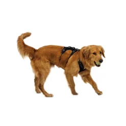 Ruffwear Ridgeline valjaat, Obsidian Black