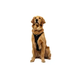 Ruffwear Ridgeline valjaat, Obsidian Black