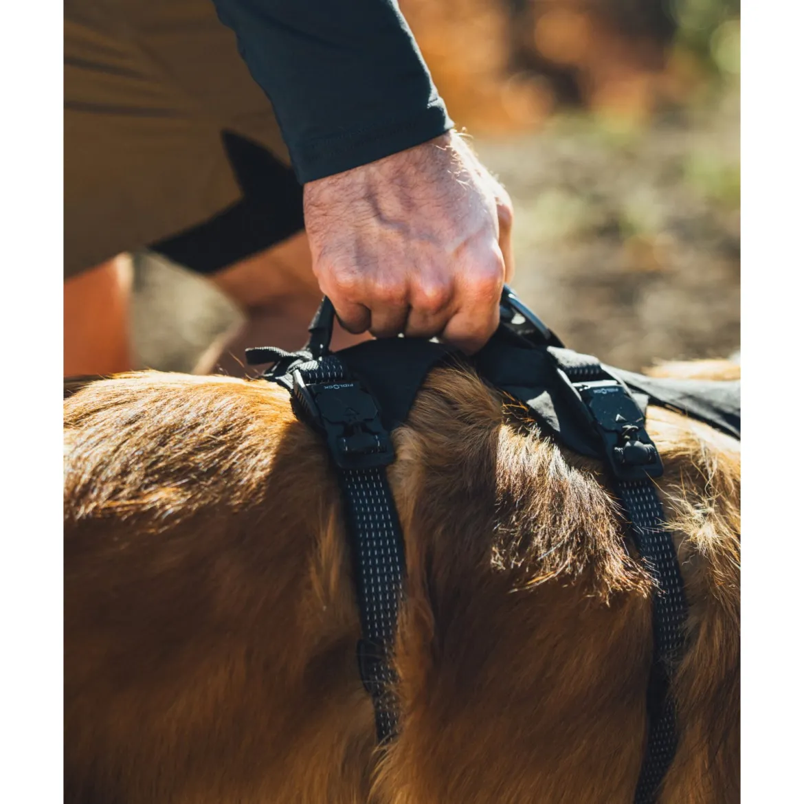 Ruffwear Ridgeline valjaat, Obsidian Black