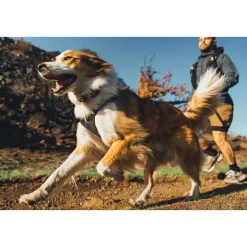 Ruffwear Ridgeline valjaat, Obsidian Black