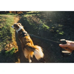 Ruffwear Ridgeline valjaat, Obsidian Black