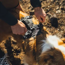 Ruffwear Ridgeline valjaat, Obsidian Black