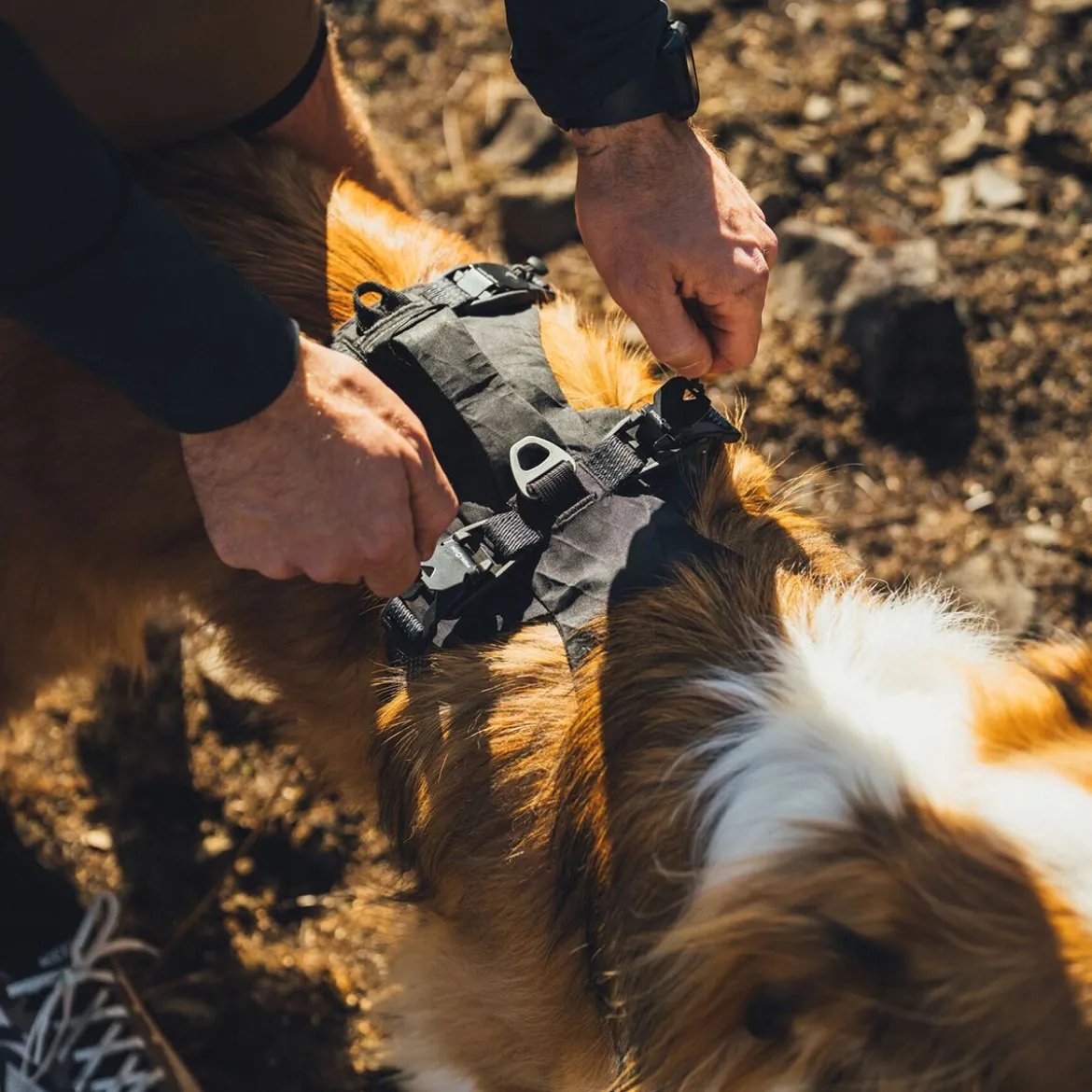 Ruffwear Ridgeline valjaat, Obsidian Black