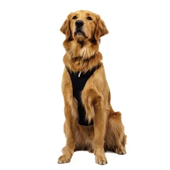Ruffwear Ridgeline valjaat, Obsidian Black